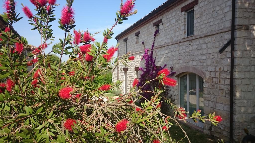 Valcastagno Relais & Residence Сироло Экстерьер фото